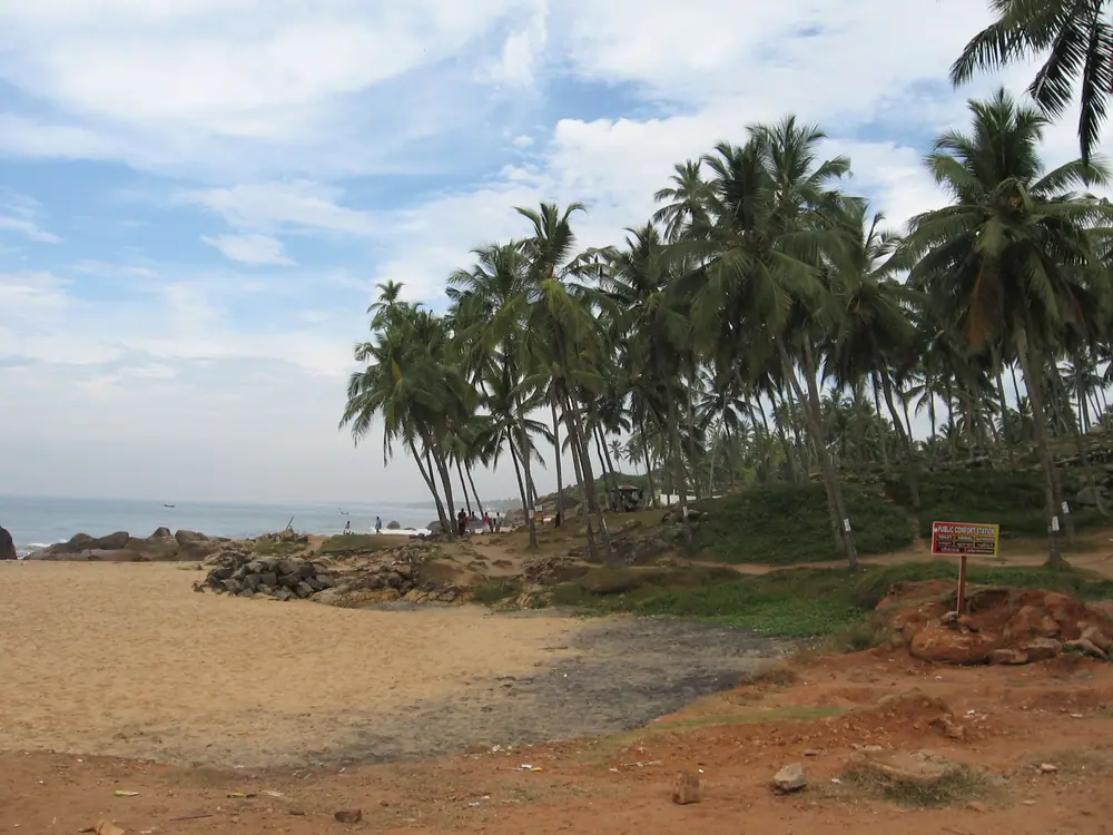 Palms over a quiet beach on the Kovalam coast