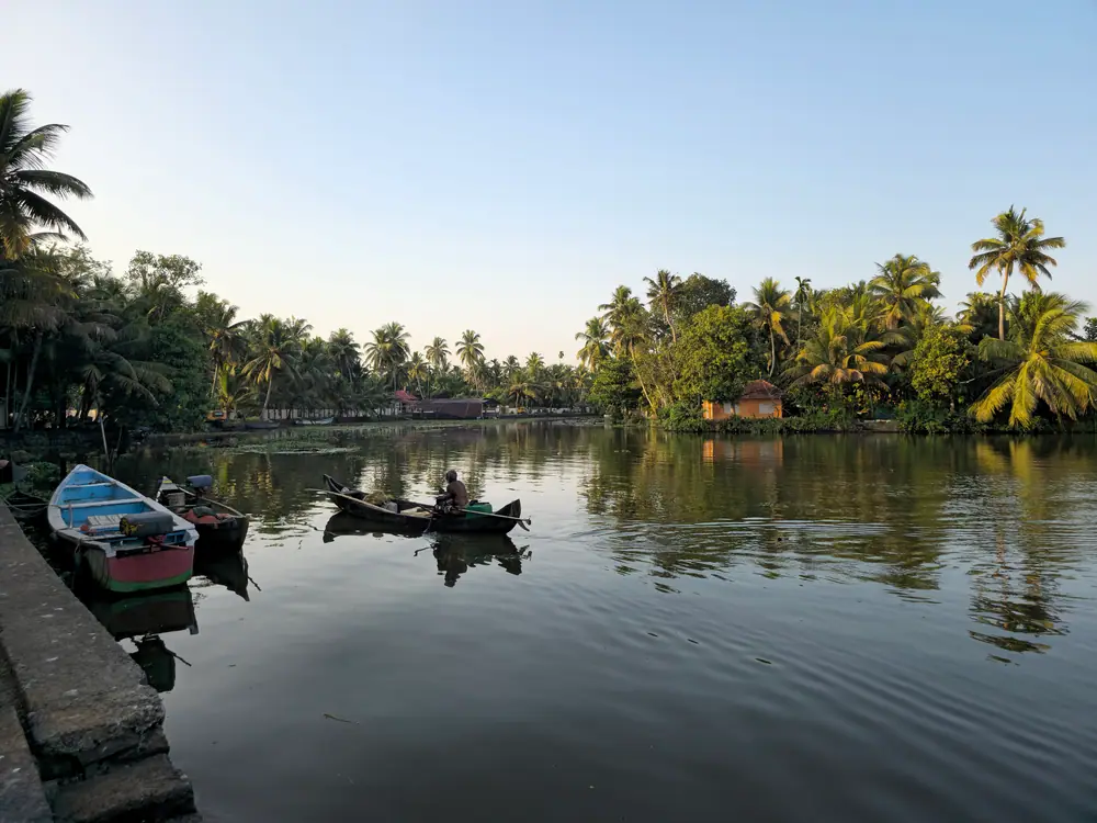 Canoes on a palm-lined backwater at Kumarakom